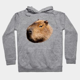 Capybara Profile Hoodie